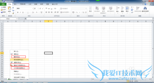 WPS表格和Excel2010设置工作标签和对工作表加密