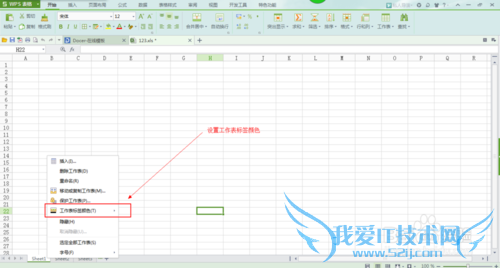 WPS表格和Excel2010设置工作标签和对工作表加密