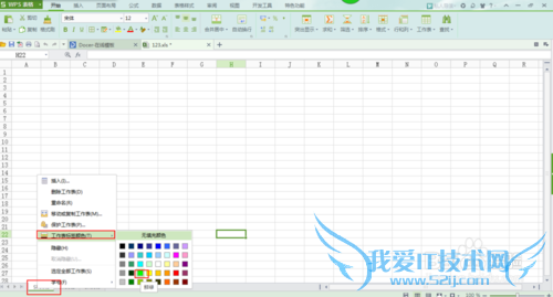 WPS表格和Excel2010设置工作标签和对工作表加密