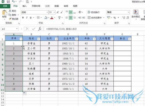 利用Excel中的Subtotal函数实现自动编号