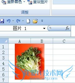 在EXCEL中如何调整图片大小及翻转图片