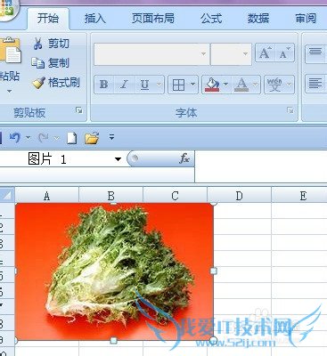 在EXCEL中如何调整图片大小及翻转图片