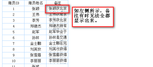 excel报表FineReport中单元格内容提示如何设置