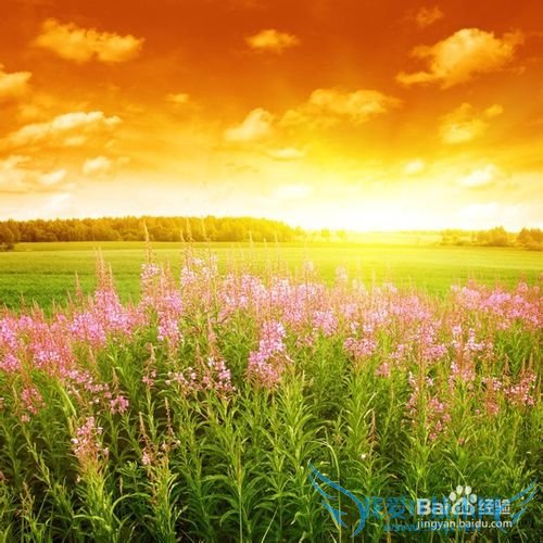 EXCEL如何冻结首行