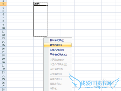 在 Excel 中创建、使用自定义序列