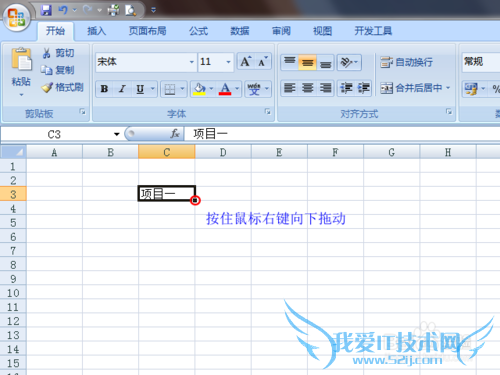 在 Excel 中创建、使用自定义序列