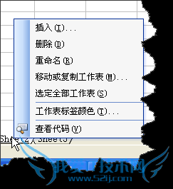 EXCELÈçºÎ½ûÖ¹²åÈ롢ɾ³ý¡¢Òƶ¯»òÖØÃüÃû¹¤×÷±í