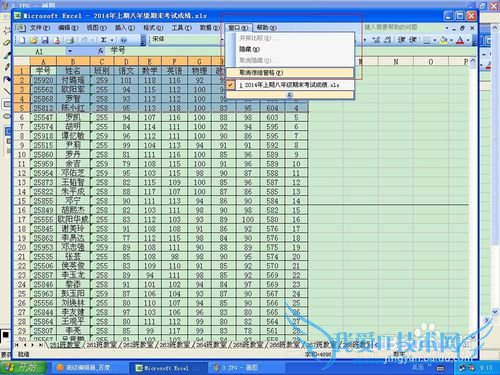 如何设置Excel电子表格多页阅读的时候表头不动