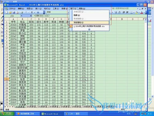 如何设置Excel电子表格多页阅读的时候表头不动