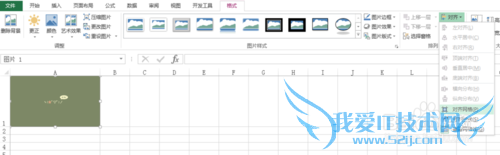 Excel2013单元格中的图片随单元格调整而调整