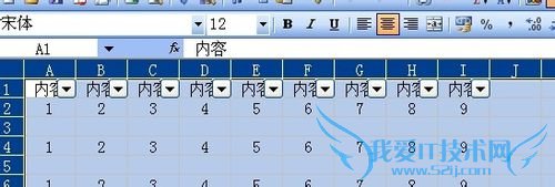 excel应用技巧二