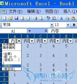 excel应用技巧二