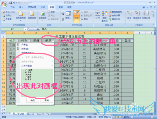 EXCEL的自动筛选功能解析