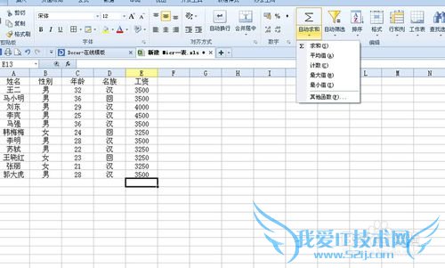 excel自动求和和自动筛选功能使用教程