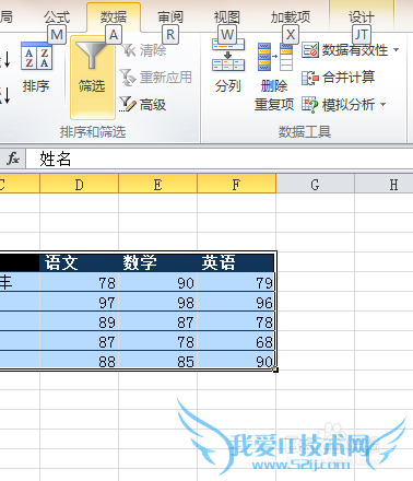 excel֮ʽѡ