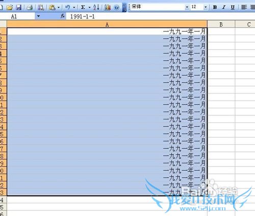 在Excel中设置日期格式