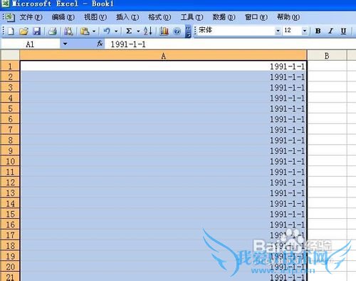 在Excel中设置日期格式