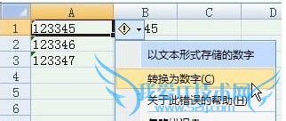 Excel中数字格式与文本格式互转