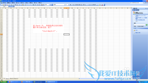 excel2003的基本操作(一)