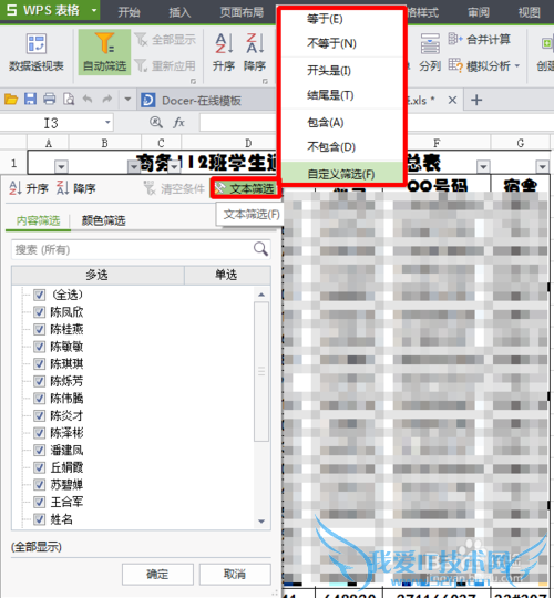 wps Excel Զɸѡܵĸ߼Ӧ