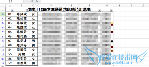 wps Excel Զɸѡܵĸ߼Ӧ