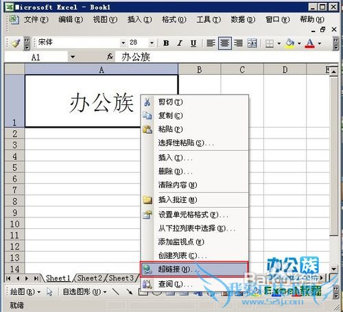 如何在Excel电子表格中插入超链接