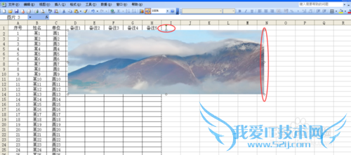 excel2003表格里插入图片的技巧