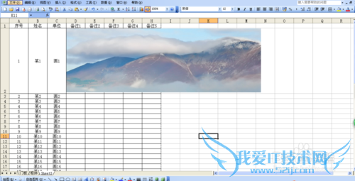 excel2003表格里插入图片的技巧
