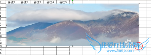 excel2003表格里插入图片的技巧
