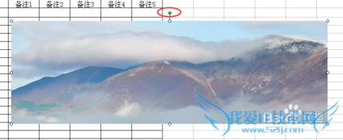 excel2003表格里插入图片的技巧
