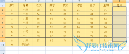 EXCEL2007精妙小功能之一键汇总