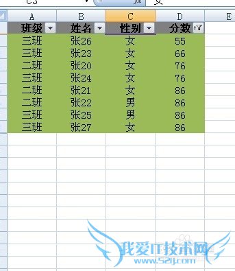 Excel2007ɸѡ˵ʹý̳