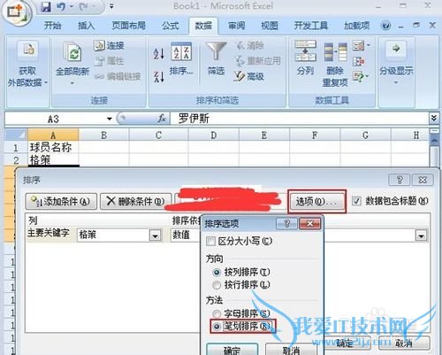 EXCEL2007如何按照姓名笔画总数进行排序