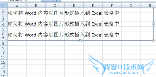 如何将Word2010内容以图片形式插入到Excel中