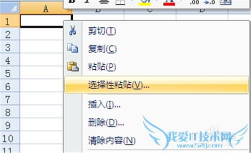 如何将Word2010内容以图片形式插入到Excel中