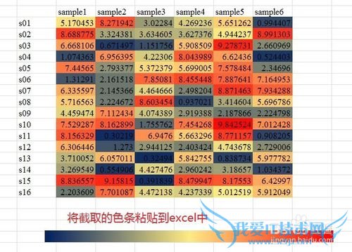 用Excel制作热图(heatmap)的方法
