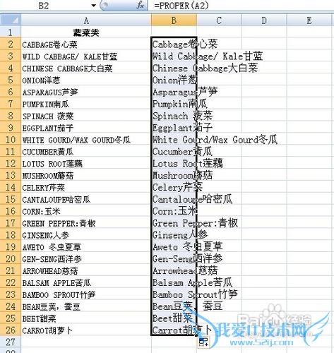怎么转变Excel表格中英文字母大小写?