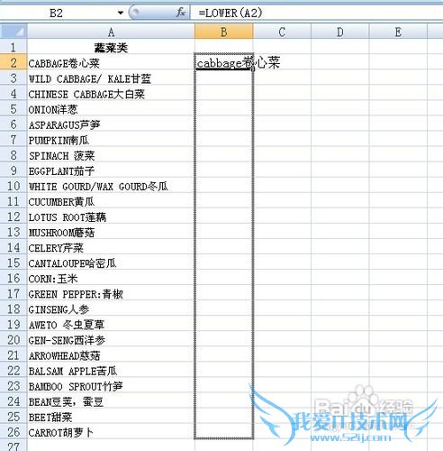 怎么转变Excel表格中英文字母大小写?