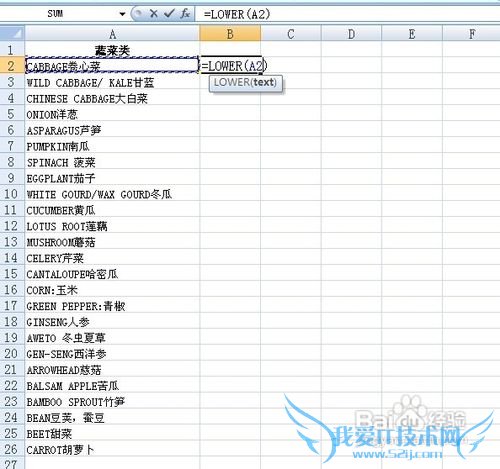 怎么转变Excel表格中英文字母大小写?