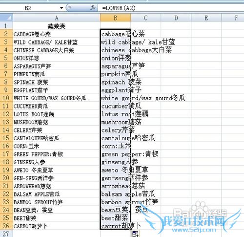 怎么转变Excel表格中英文字母大小写?