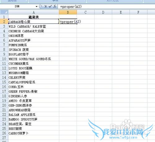 怎么转变Excel表格中英文字母大小写?