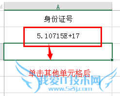Excel显示输入的数字/学生证号身份证号的输入