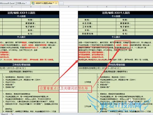 【简历制作】如何用excel制作一份简历