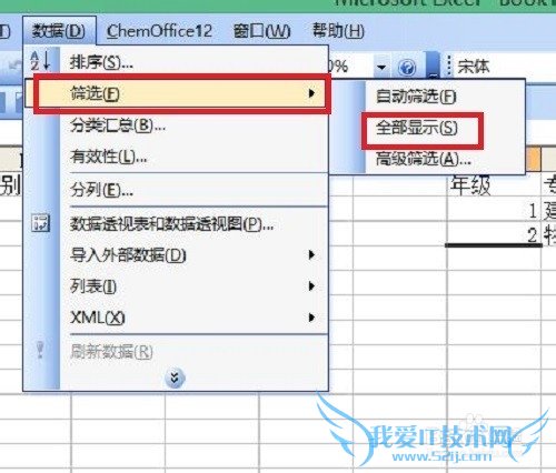 excel±í¸ñÊý¾Ý¸ß¼¶É¸Ñ¡£¿
