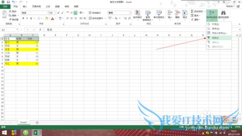 Office Excel 2013如何对数据进行颜色筛选?