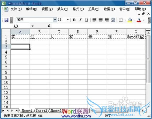 office-Excel2003中将行中的数据复制到列中