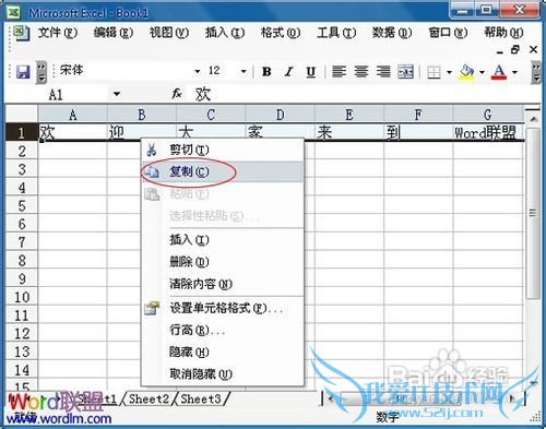 office-Excel2003中将行中的数据复制到列中