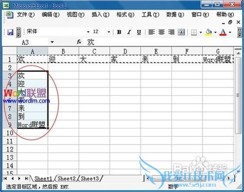 office-Excel2003中将行中的数据复制到列中