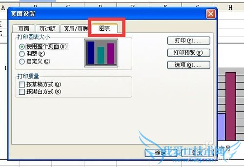 excel图表打印的设置技巧