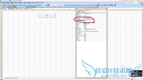 重命名excel中控件的名字